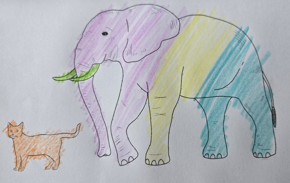 Embracing Pragmatism in Agile: A Stronger&nbsp;Approach